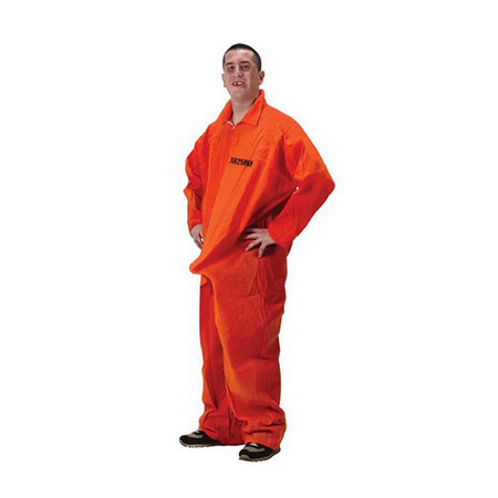 Prisoner Department Of Erections Party Costume